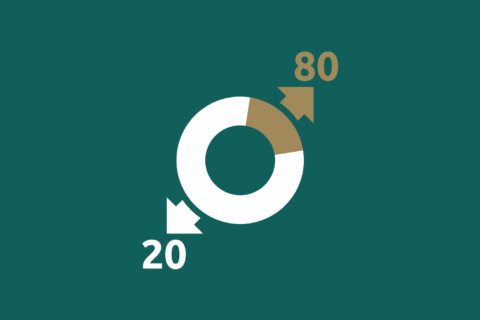 Pareto's 80/20 rule