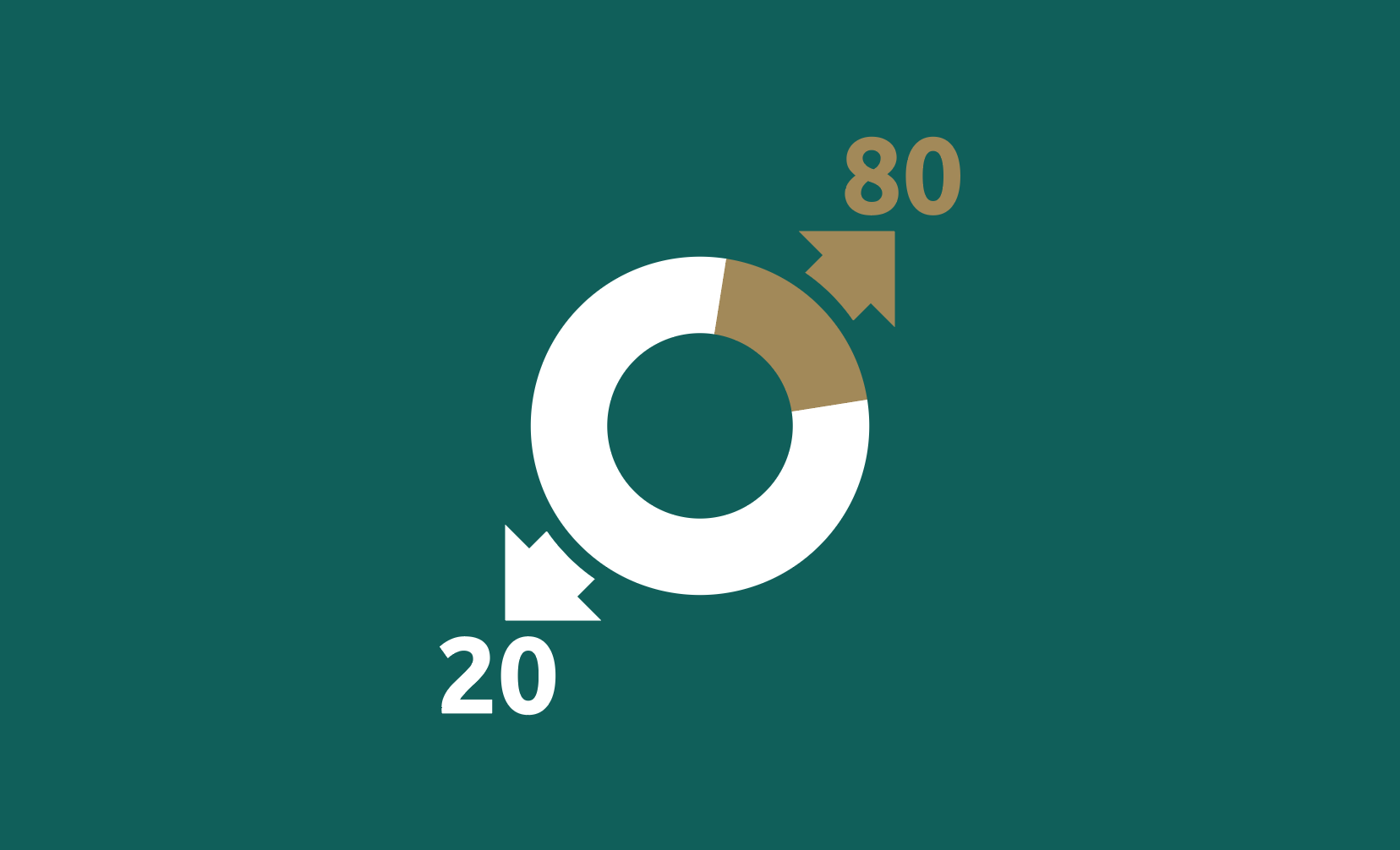 Pareto's 80/20 rule